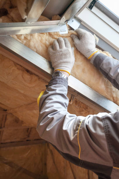 Best Insulation Maintenance and Repair in Forest Hills, PA