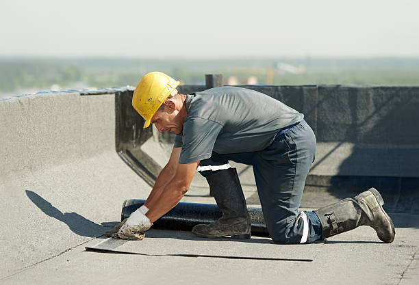 Best Eco-Friendly Insulation in Forest Hills, PA