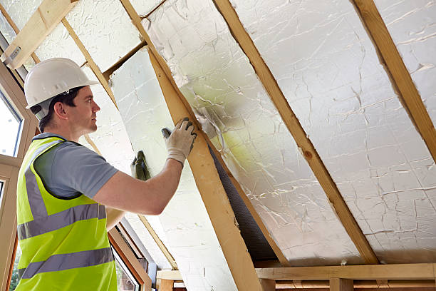 Best Cellulose Insulation in Forest Hills, PA