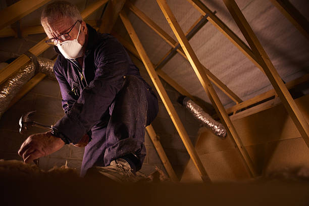 Types of Insulation We Offer in Forest Hills, PA
